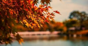 紅葉温泉旅